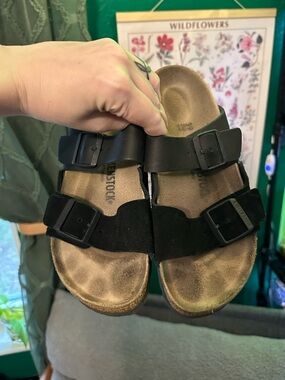 Arizona Birks